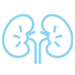 Icon-Urology